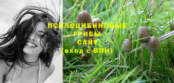МДМА Осташков