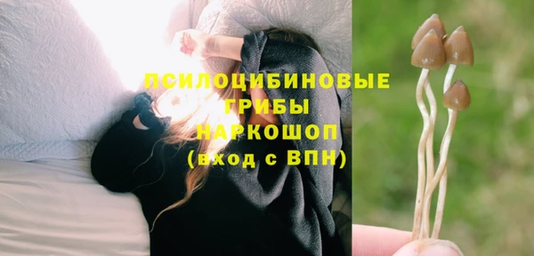 молекула духа Нягань