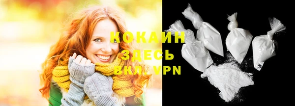 меф Няндома