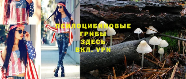 не бодяженный Осинники