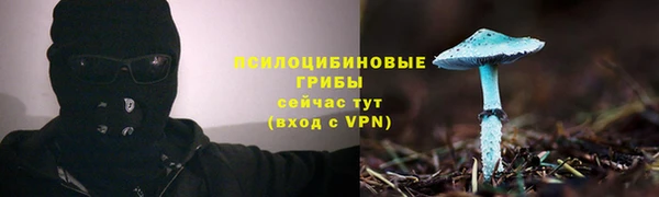 не бодяженный Осинники
